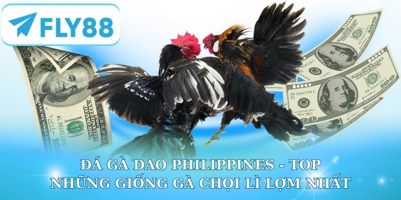 Đá Gà Dao Philippines - Top Những Giống Gà Chọi Lì Lợm Nhất