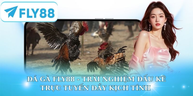 Đá Gà Fly88 - Trải Nghiệm Đấu Kê Trực Tuyến Đầy Kịch Tính
