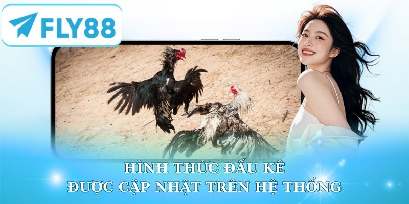 Hình thức đấu kê được cập nhật trên hệ thống