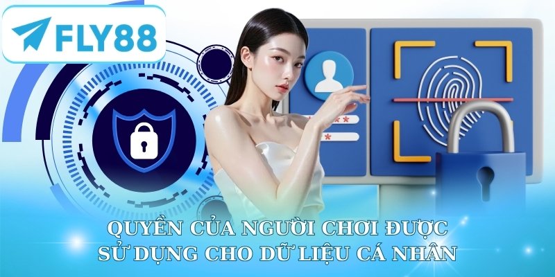 Quyền của người chơi được sử dụng cho dữ liệu cá nhân