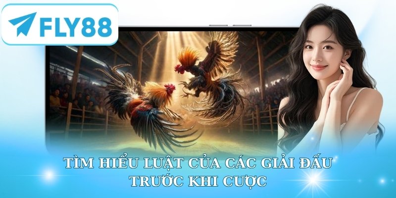 Tìm hiểu luật của giải đấu trước khi cược